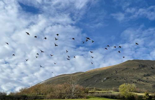 Casa Sibilla Agriturismo Le Castellare - Foto 37