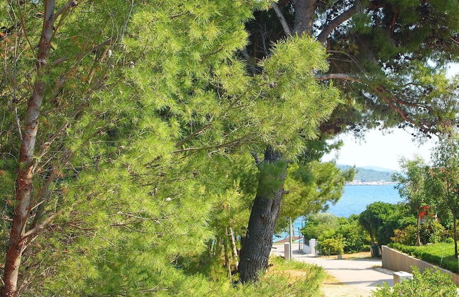 Apartments Villa Rea Orebic - Photo 20