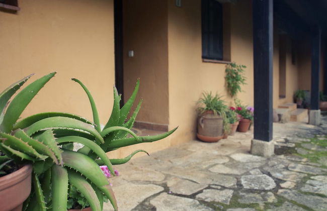 El Calambuco - Photo 26