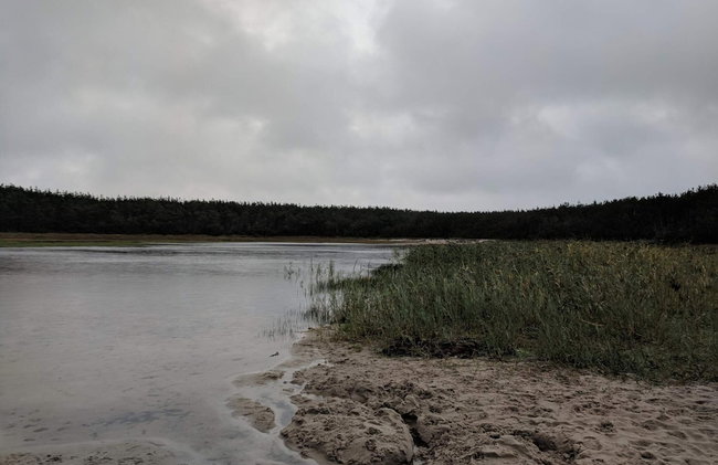 7 Person Holiday Home in Ulfborg - Photo 40