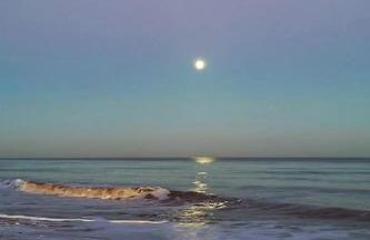 Rose Cottage, 2 Bedroom Cottage with character, near Southwold - Photo 13