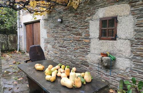 Casa Moucheiro - Foto 52