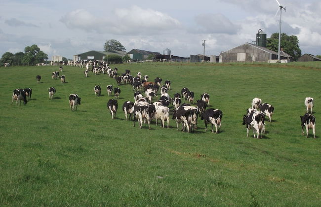 Broomhills Farm River Eco Pods - Foto 20