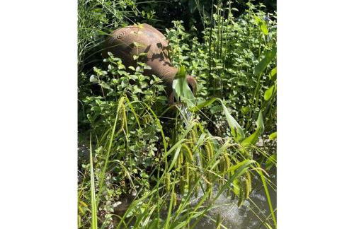 Design and art Comfortable holiday residence - Foto 21