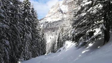 Vista Pelmo - Foto 2