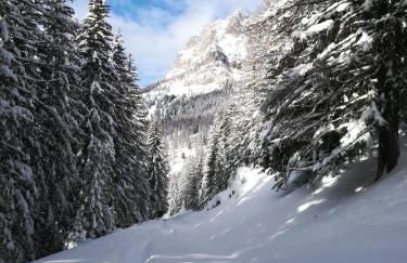 Vista Pelmo - Foto 2