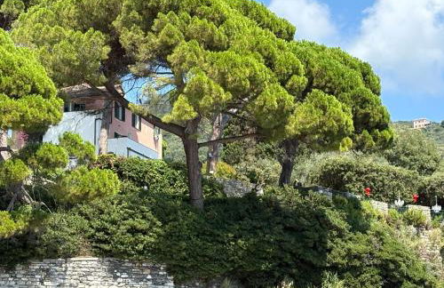 The terrace on Portofino Appartamento Terrazzo Portofino - Foto 46