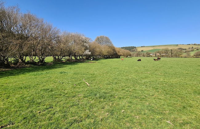 Viking Sleeping Barrel - Foto 4