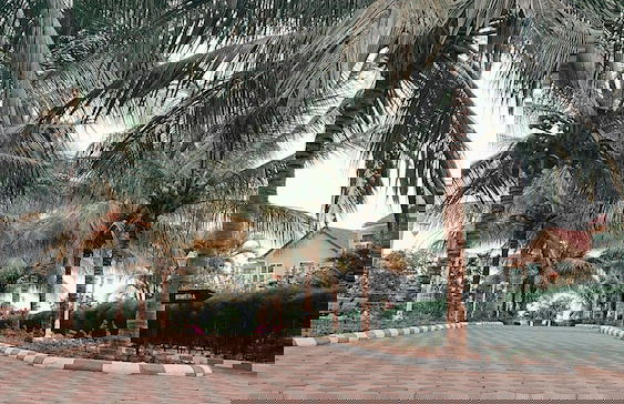 Royal Cliff Zanzibar - Photo 63