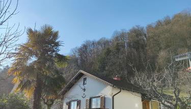 Palmehüüsle - Foto 2, Garden view