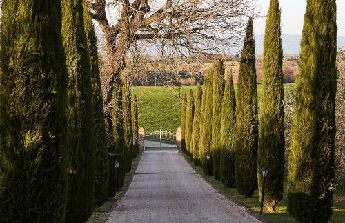 Podere Fontegallo - Photo 63