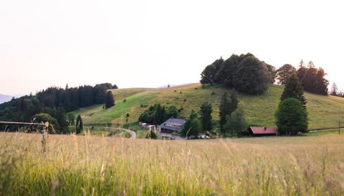 Almgasthaus Knöpflesbrunnen Fünfbettzimmer - Foto 4