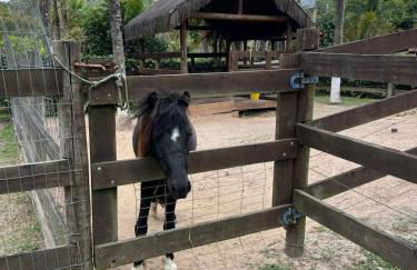 Sítio Pedra Luminosa - Foto 41