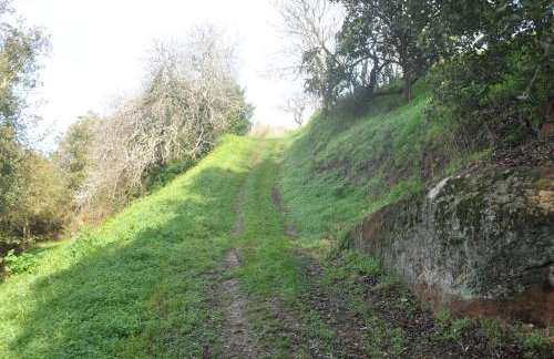 Quinta do Bom Vento - Photo 123