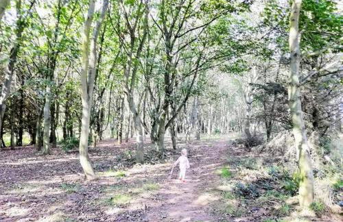 Sand Le Mere Holiday Village Caravan hire - Foto 11