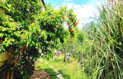 Castellana House - Photo 1