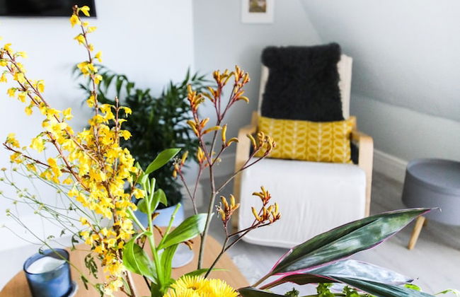 The Lookout - Foto 14