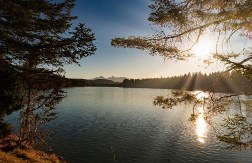 Ferienwohnung Nr 2, neben einem Bauernhof, Roßhaupten, Allgäu - Photo 21