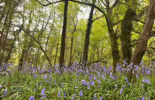The Burrow, Oradour ST Genest - Foto 26