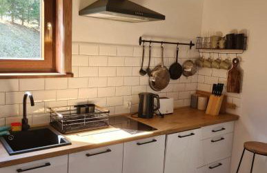 Domek w Bieszczadach Mchawa 144 - Foto 11