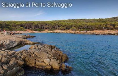 Antonio&Marghy House - Foto 34