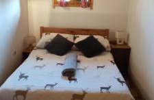 Imanje Jelaš - Foto 12