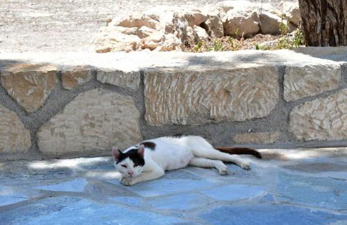 Mitsakos Golden House - Foto 19