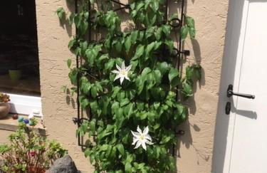 The Cozy Cottage - Foto 7