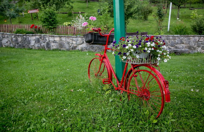 Nektar Park Villa Sara - Photo 17