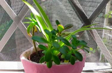 Appartamento Le Nuvole da Davide e Romina - Foto 32