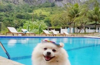 FLAT 234 Hotel Pedra Rodeadouro - Foto 28