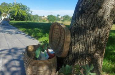 D. MariAntónia Complexo Turístico - Foto 20