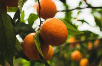 Casa da Nora - Foto 66