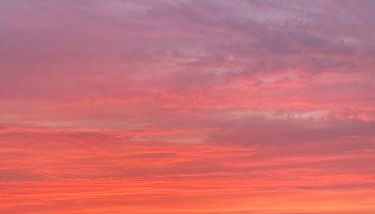 Ferienwohnung Nr. 2 Rügen Natur Idylle Landleben - Foto 2
