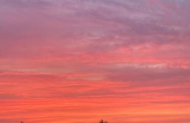 Ferienwohnung Nr. 2 Rügen Natur Idylle Landleben - Foto 2