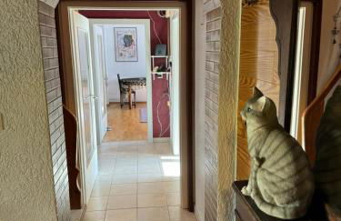 Ferienwohnung in Bad Schussenried - Foto 13