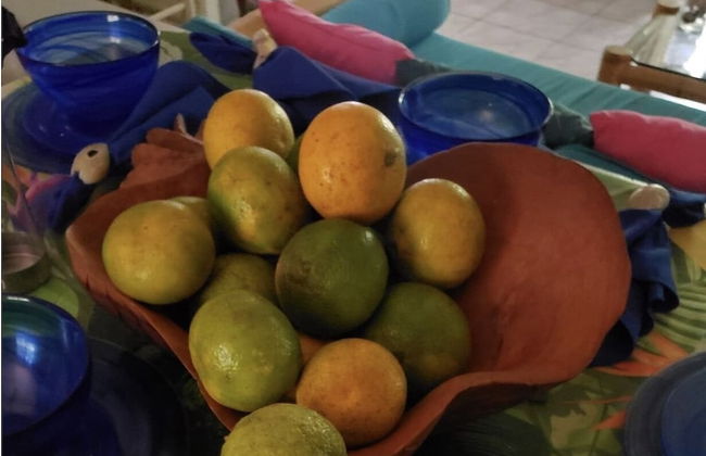 Seacret Studios - Cozy Jamaican Retreat Apts by RedAwning - Photo 11