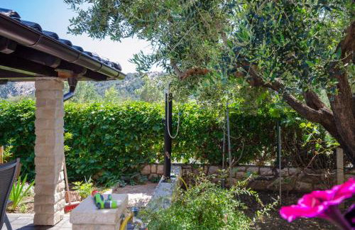 Apartments Zorka - Foto 12