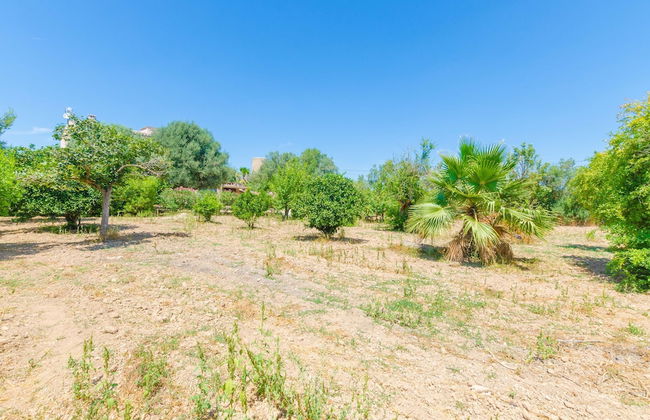 Hort De Can Bou in Porreres - Foto 35