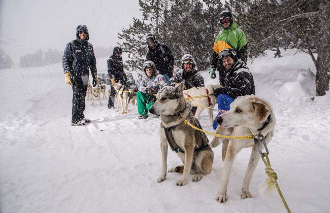 Grandvalira Dog Sled Ride - Photo 3