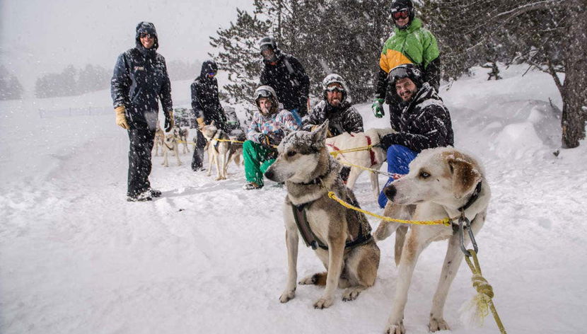 Grandvalira Dog Sled Ride - Foto 3