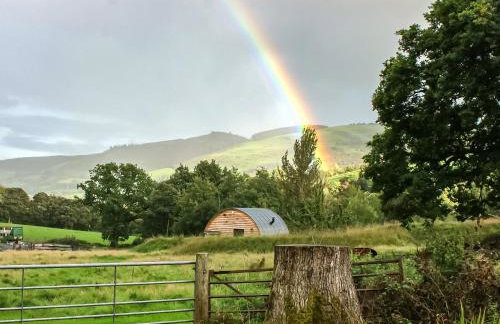 Creyr Glas Pod -Uk41796 - Foto 32