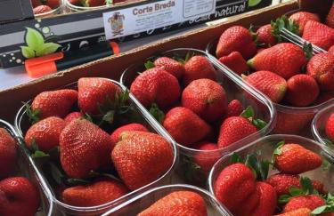 Corte Breda Agriturismo Bed & Breakfast - Foto 41