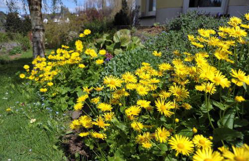 Ferienwohnung Landfein Schalkenmehren - Foto 49
