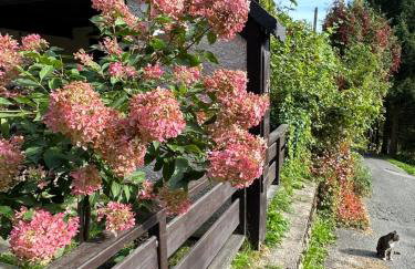Studio Gościnne ANTEK - Foto 12