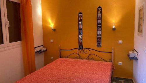 Granatapfel - Foto 4