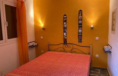 Granatapfel - Foto 4