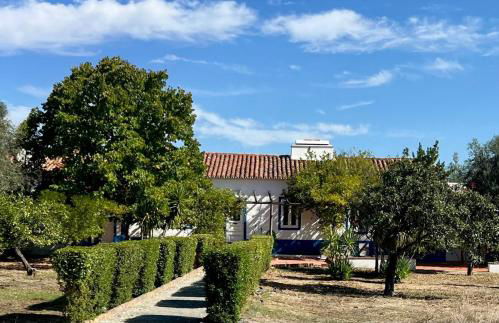 Quinta do Céu Tranquilidade e Piscina no Alentejo - Foto 40