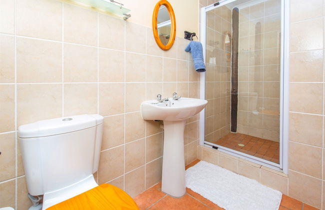 Experience Nature at Brenton on Sea With Breakers Dolphins and Whales - Foto 11