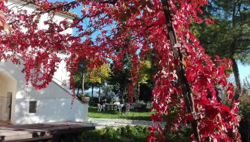 Casale Fonte delle Pietre - Foto 3, Garden view